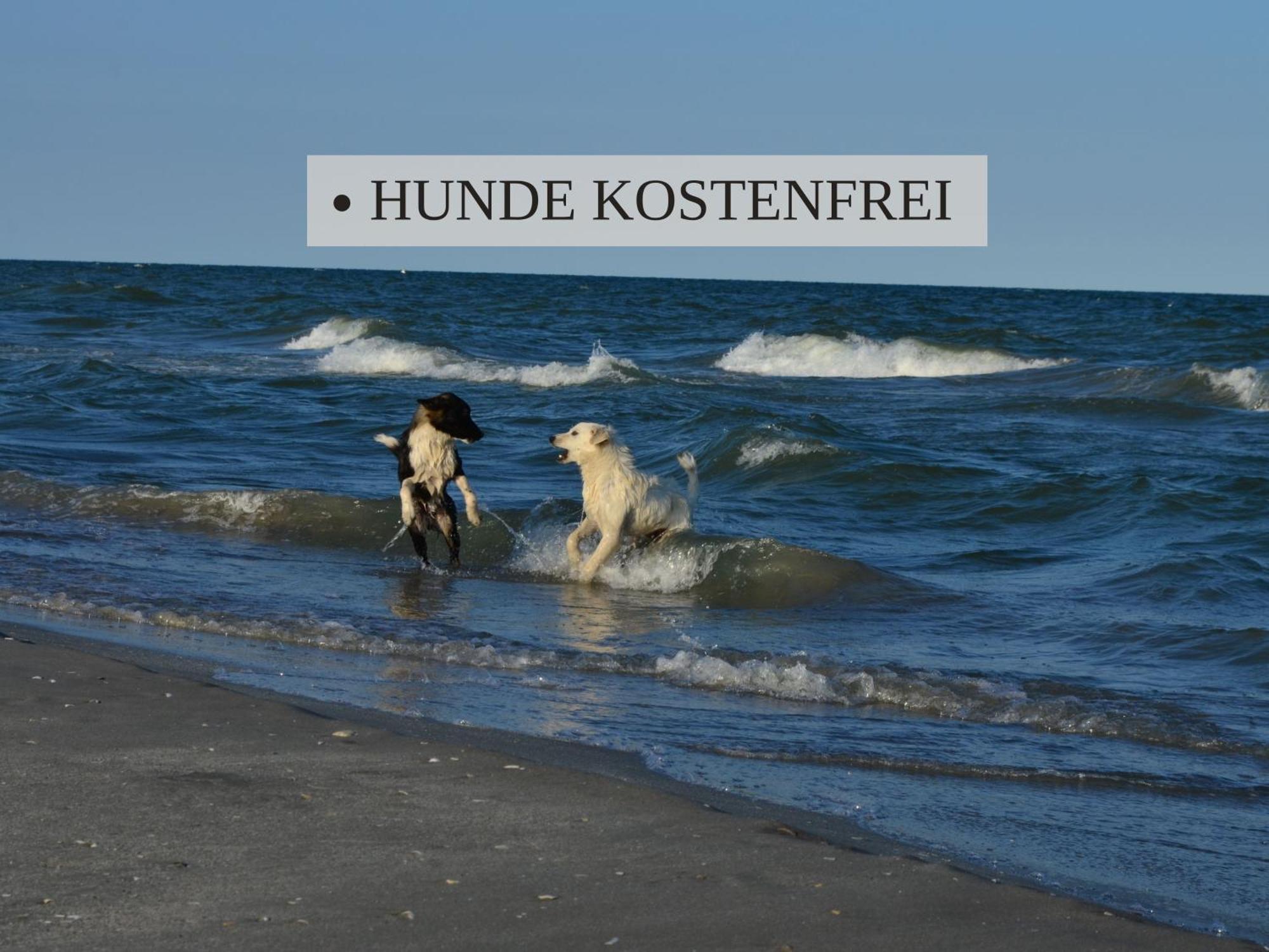 Haus Krabbe Apartments, Zentral Gelegen Im Idyllischen Nordseeort Zwischen Bremerhaven Und Cuxhaven, Hunde Kostenfrei Willkommen, Hauseigene Kostenfreie Parkplaetze Wremen Εξωτερικό φωτογραφία